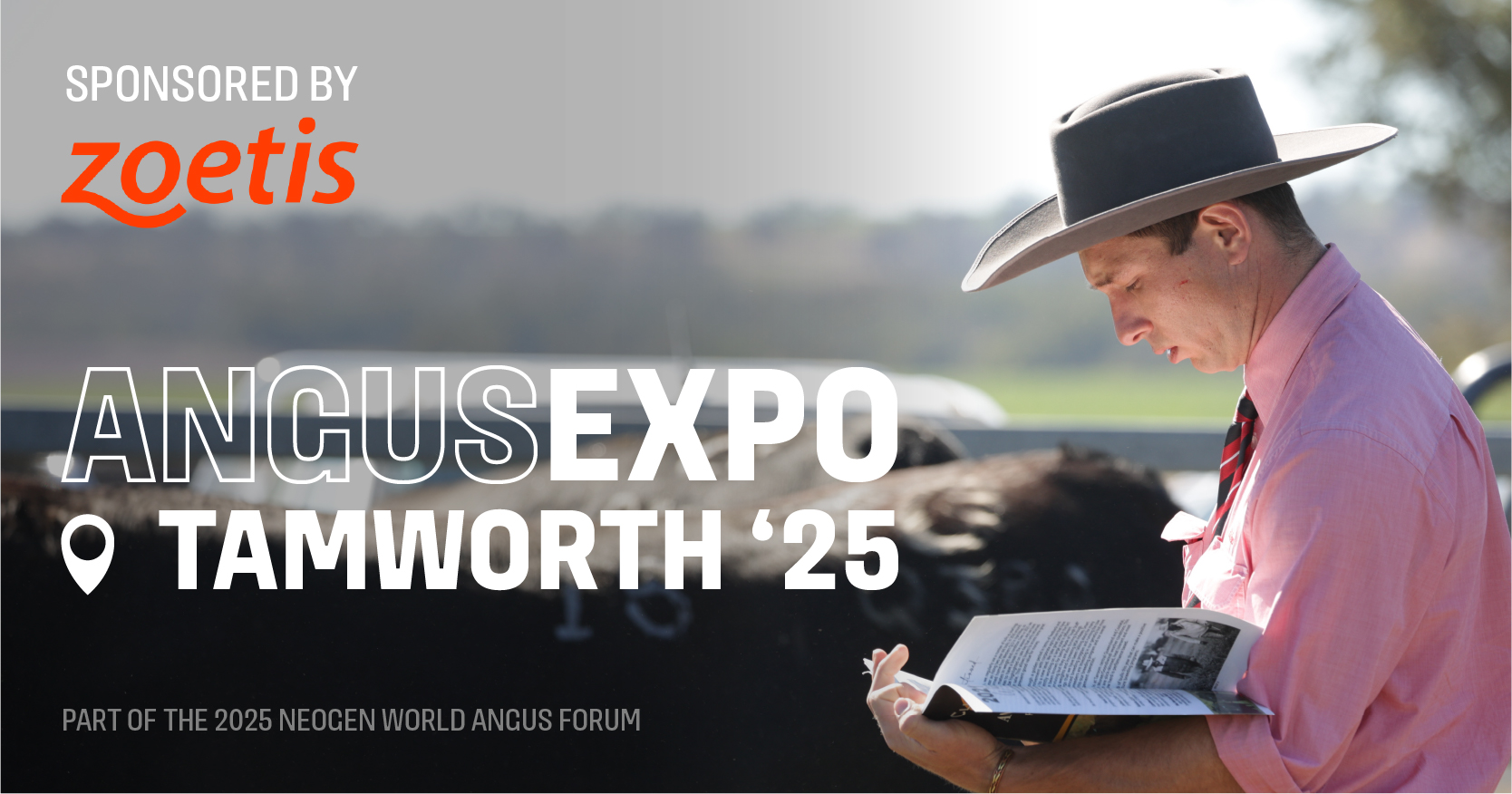 Angusexpo World Angus Forum