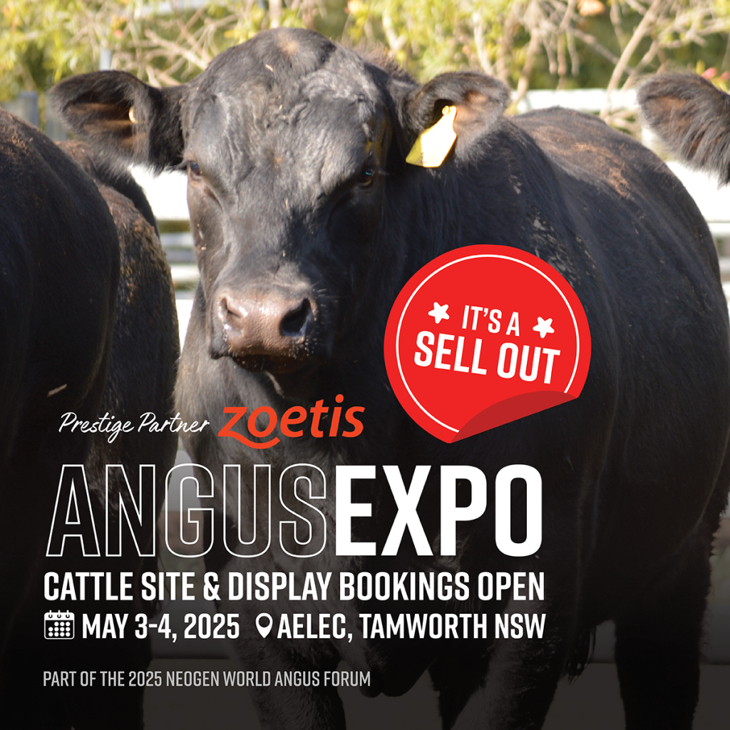 AngusEXPO cattle sites fully booked