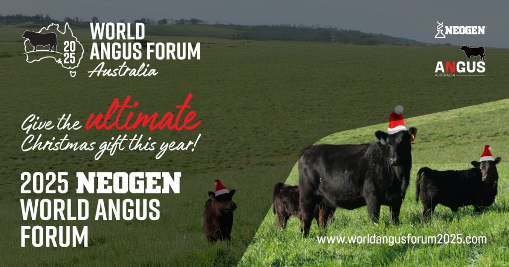 World Angus Forum Christmas Gifts