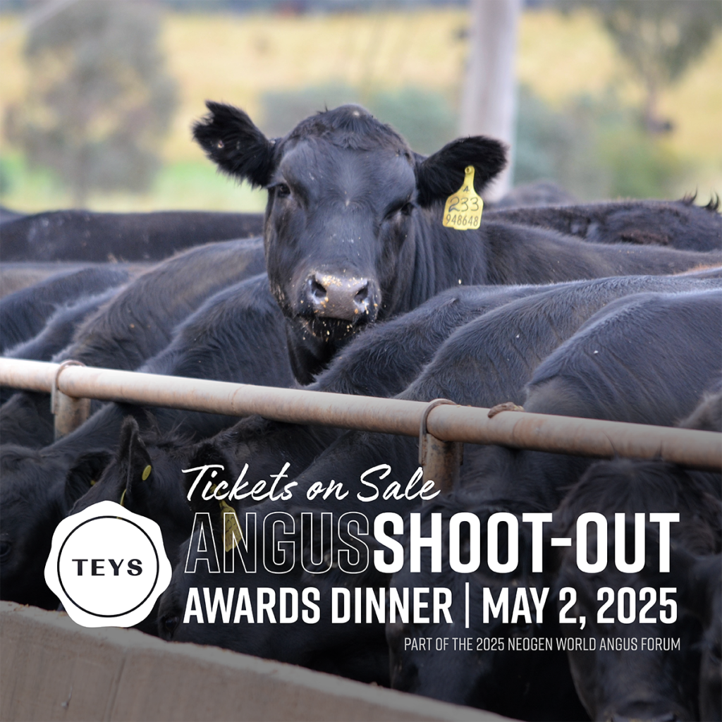 Teys AngusSHOOT-OUT Awards Dinner